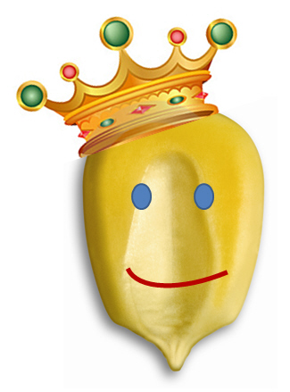 The Corn King