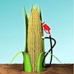 corn-ethanol-pump_100172125_s