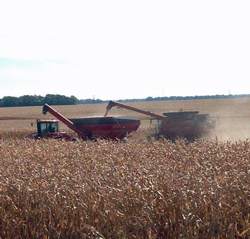 il-harvest-14