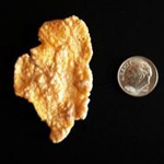 corn flake