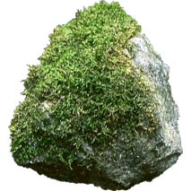 moss stone
