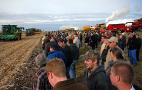 corn cob harvest