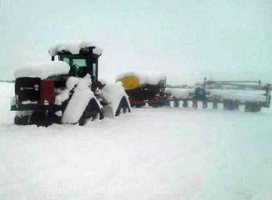 corn-snow2