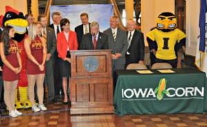 ia-corn-cy-hawk