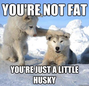 husky